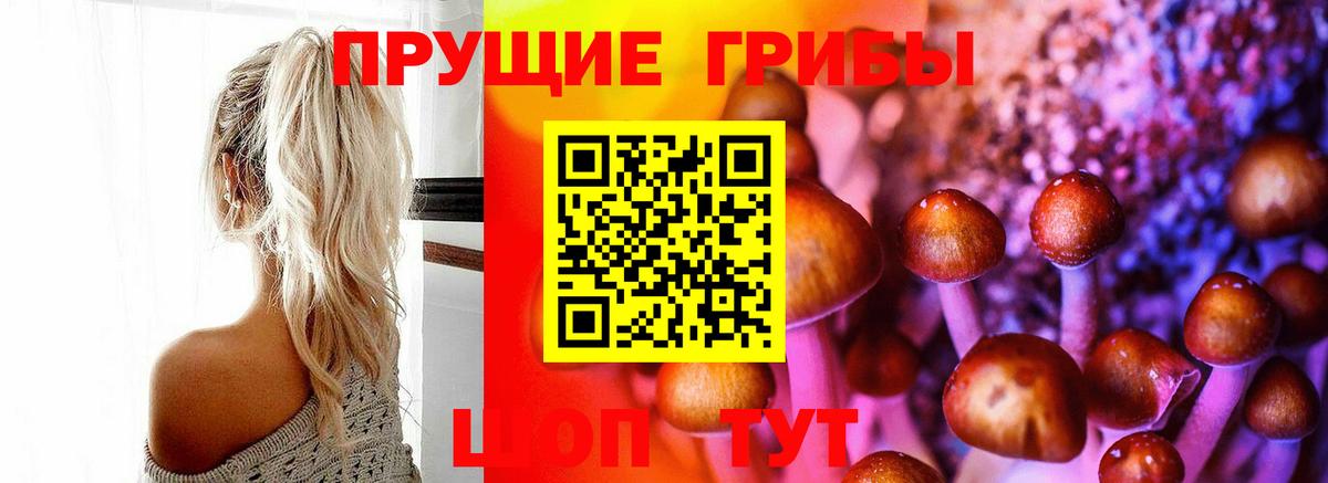 Псилоцибиновые грибы Cubensis Нарьян-Мар